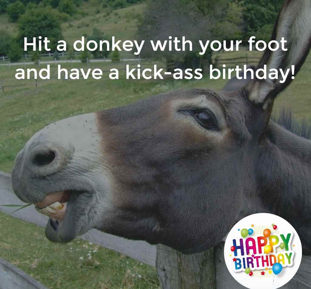 Funny Birthday Wishes Messages Images Messages Greetings