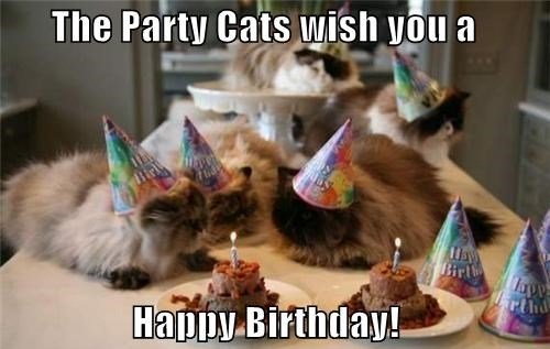 Birthday-Lines-For-Cat.jpg