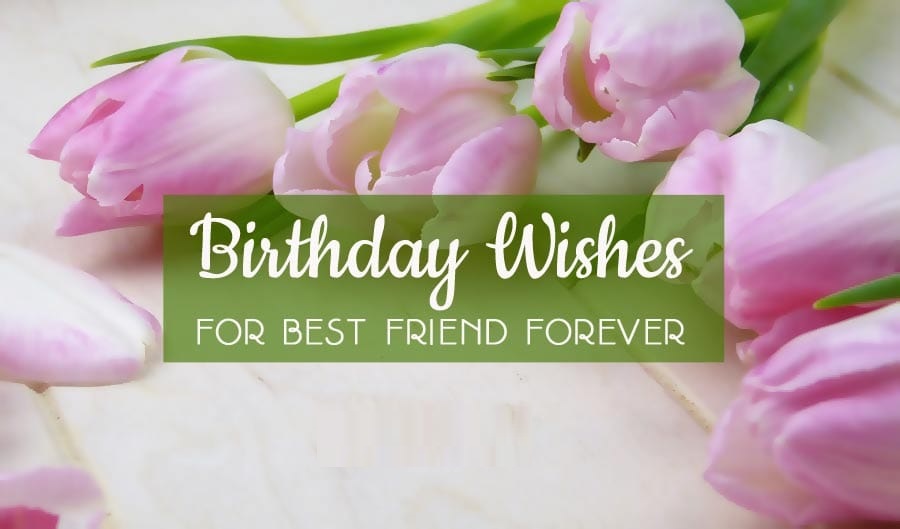 Happy Birthday Wishes Images for Best Friend Forever